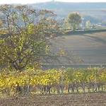 Casa Rovelli 3* Alfiano Natta