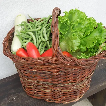 Frühstückspension Casa Rovelli