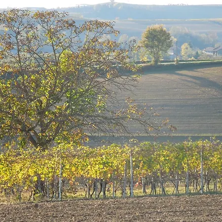 Casa Rovelli 3* Альфьяно-Натта