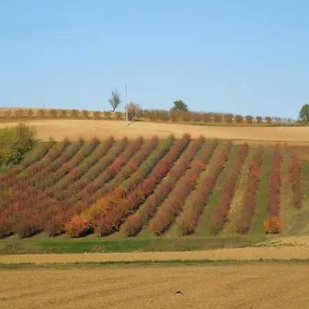 Frühstückspension Casa Rovelli Alfiano Natta