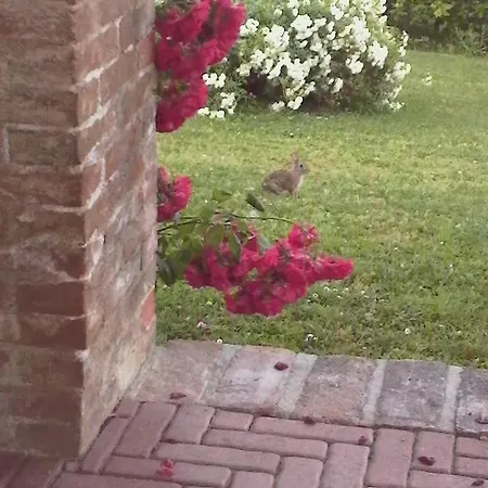 Casa Rovelli Альфьяно-Натта